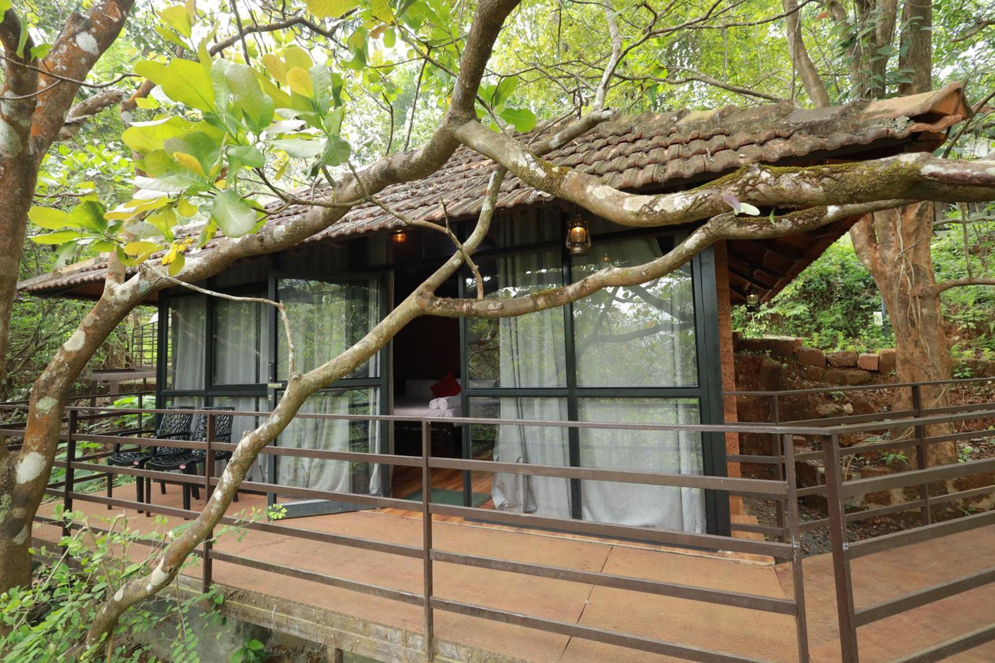 Holistic Stay Eco-Resort & Ayurvedic Retreat Paithalmala Exterior foto